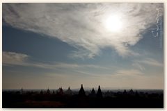 IMG_8778