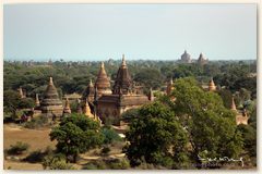 IMG_8797