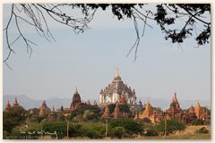 IMG_8826