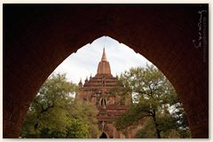 IMG_8832