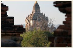 IMG_8878