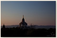 IMG_8956