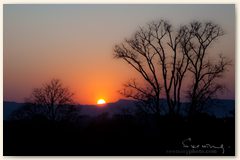 IMG_8975