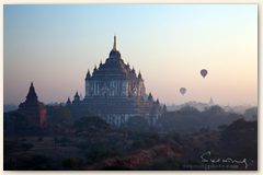 IMG_9082