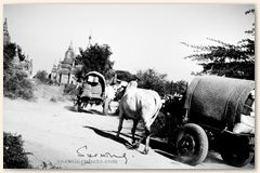IMG_9140