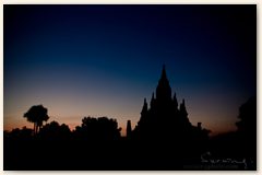 IMG_9318