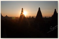 IMG_9391