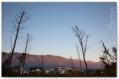 IMG_2711