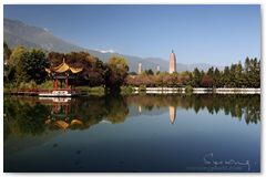 IMG_2780