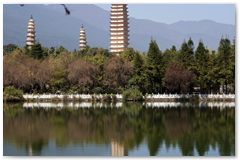 IMG_2791