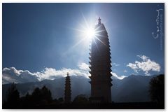 IMG_2807