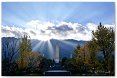 IMG_2845
