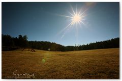 IMG_3024