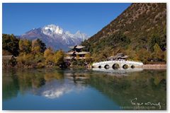 IMG_3110