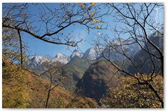 IMG_3216