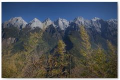 IMG_3226
