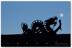 IMG_3396