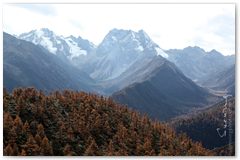 IMG_3475