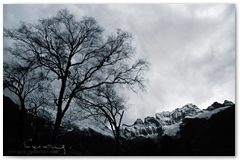 IMG_3621