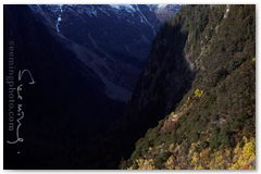 IMG_3669