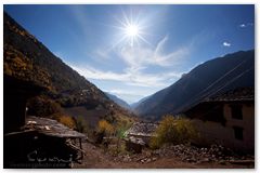 IMG_3726