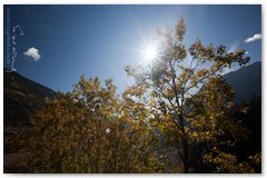IMG_3731