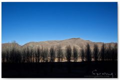 IMG_3966