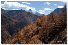 IMG_4042