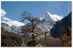 IMG_4071