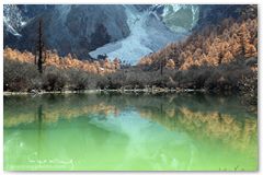 IMG_4105