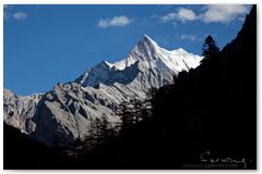 IMG_4135