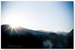 IMG_4290
