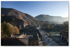 IMG_4311
