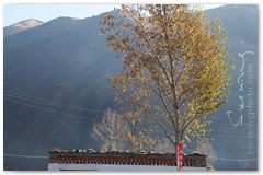 IMG_4368