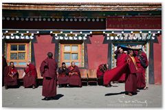 IMG_4458