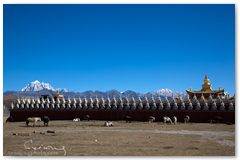 IMG_4479