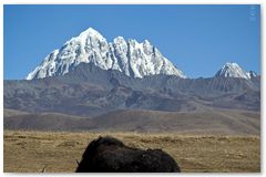 IMG_4490