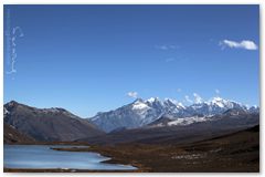 IMG_4498