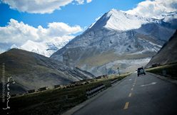 IMG_1532