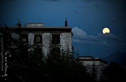 IMG_4539