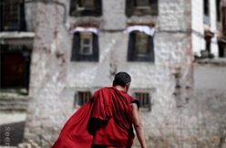 IMG_4918
