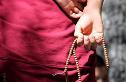 IMG_5003