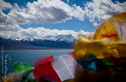 IMG_5151