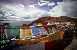 IMG_5196