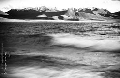 IMG_5230