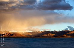 IMG_5278