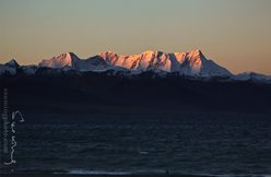 IMG_5336