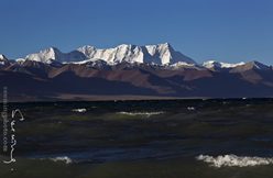 IMG_5388