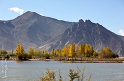 IMG_5506