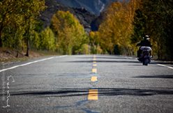 IMG_5522